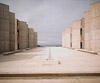 Image of salk.jpg